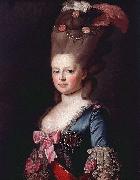 Portrait of Sophie Dorothea of Werttemberg Alexander Roslin